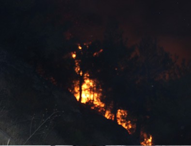 Hatay'da 25 farklı noktada orman yangını