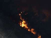 Hatay'da 25 farklı noktada orman yangını