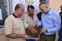 TOPRAK MAHSULLERI OFISI - Kuru Üzüm Alımlarına Yerinde İnceleme