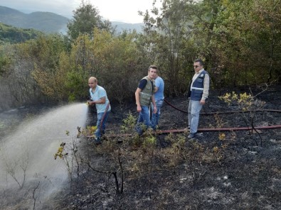 Türkeli'de Çıkan Yangın Ormanlık Alana Sıçramadan Söndürüldü