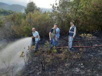 GENCEK - Türkeli'de Çıkan Yangın Ormanlık Alana Sıçramadan Söndürüldü