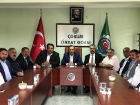 DEVLET KATKISI - AK Parti'den Ziraat Odası Başkanlarıyla İstişare