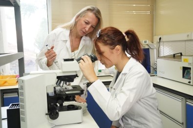 Bu Çalışma 'Dünyada İlk' Olacak