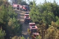 AMANOS DAĞI - Hatay'da 25 Noktada Çıkan Yangın Söndürüldü
