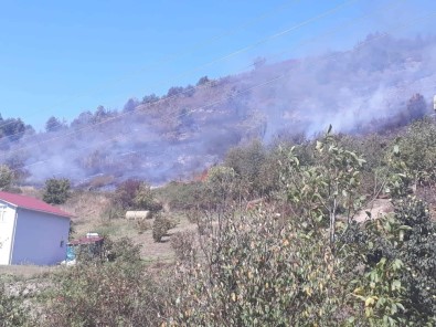 Kastamonu'da Ormanlık Alanda Yangın Çıktı