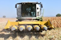 Manisa'da Mısır Hasadı Başladı