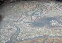 Mardin'de 1500 Yıllık Mozaik, Kaçak Kazıda Ortaya Çıktı Haberi