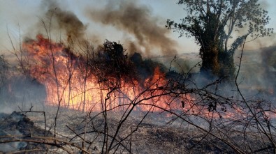 Tekirdağ'da Orman Yangını Açıklaması Helikopter, Arazöz Ve İtfaiyeler Müdahale Ediyor