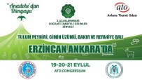Erzincan Ürünleri Ankara'da Görücüye Çıkacak Haberi