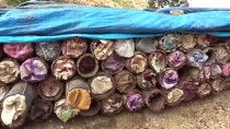 Herekol Dağı'nda 'Huzurlu' Bal Üretimi Haberi