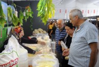 KÜLTÜR BAŞKENTİ - Kastamonu Tanıtım Günleri İstanbul'da Başladı