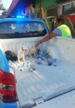 BUCA BELEDİYESİ - Ölmek Üzere Olan Yavru Köpekler Hayata Döndürüldü