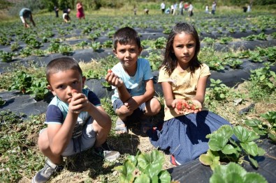 Adana'da Tarımı Güçlendirme Projeleri