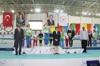 ÜMIT ŞAMILOĞLU - Artistik Cimnastik Dünya Kupası'nda Türkiye Birinci Oldu
