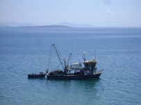AKBÜK - Didim'de Balıkçılar Denize Açıldı