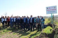 Diyarbakır'da Yükümlüler Çevre Temizliği Yaptı