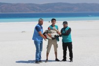 Emine Erdoğan Ve Bakan Kurum, Salda Gölü'nde İncelemelerde Bulundu Haberi