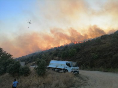 Erdek'te Orman Yangını