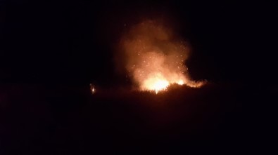 İznik'te Çalılık Alandaki Yangın Korkuttu