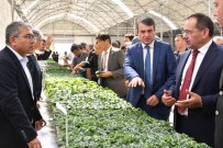 OSMAN KAYMAK - Japonlardan Bafra'ya Tarım Yatırımı