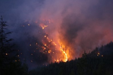 Kaş'taki Orman Yangını 6 Saat Sonra Kısmen Kontrol Altında