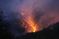 ORMAN İŞÇİSİ - Kaş'taki Orman Yangını Kısmen Kontrol Altında