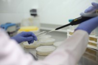 PAMUKKALE ÜNIVERSITESI - PAÜ'nün 4 Projesi Birden TÜBİTAK Tarafından Destek Aldı