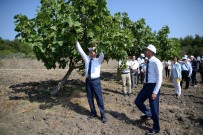 İLHAN TURGUT - Üniversite Yönetimi Tarlada