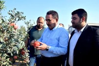 ORMAN VE KÖYİŞLERİ KOMİSYONU - AK Parti'li Doğru Açıklaması 'Pamuk Üreticisi Primden Memnun Kalacak'