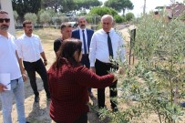 DEVRIM - Başkan Tuncel'den Akıllı Köy Ziyareti