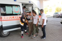 OYUN HAMURU - Civa Zehirlenmesi Şüphesiyle 5 Öğrenci Elazığ'da Tedavi Altına Alındı