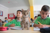 KAZANCı - Derste Öğrenci, Teneffüste Anne