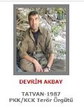 DEVRIM - Gri Kategoride Aranan Terörist Bitlis'te Etkisiz Hale Getirildi