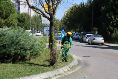 İzmit Yahya Kaptan'da Yeşil Alanlar Tertemiz