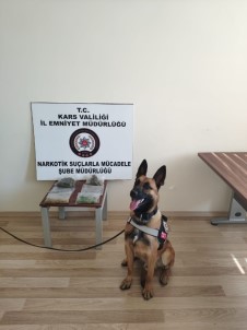 Kars'ta Sokaklar Dedektör Köpek 'Odin'e Emanet