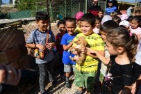 YAVRU KÖPEKLER - Öğrenciler Sahiplendiği Sokak Köpeğine Okul Bahçesinde Bakacaklar