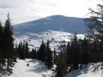 ERDOĞAN TURAN ERMİŞ - Sis Dağı Kayak Merkezi İçin Harekete Geçildi