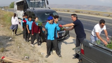 Sultan Abdülhamid Han'ın Doğum Gününde 177 Fidan Diktiler