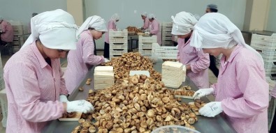 Aydın İnciri, Kayısı Ve Baklavayla Beraber 2 Milyar Euroluk Katma Değer Oluşturacak