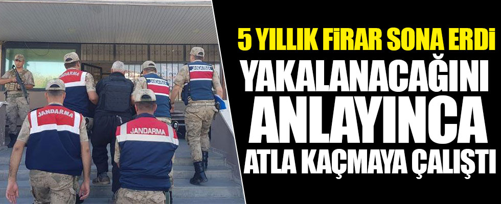 Yakalanacağını anlayınca atla kaçmaya çalıştı