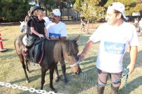 YARIŞ ATI - (Özel) Atla Gelen Terapi