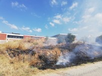 SPOR KOMPLEKSİ - Spor Tesisi Önündeki Yangın Korkuttu