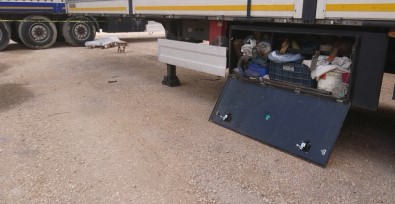 Uzun Yoldan Geldi Kalbine Yenik Düştü