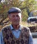 EVLİYA ÇELEBİ - Yaraladığı Domuzun Saldırısına Uğradı