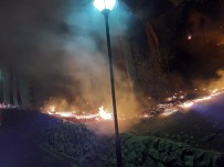 PİKNİK ALANI - Adana'da Tarihi Kozan Kalesi Eteklerinde Yangın