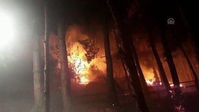 Adana'daki Orman Yangını