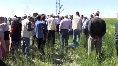 FAO'dan Türkiye'deki Tarım Uygulamalarına Övgü