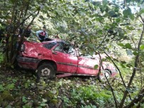 Giresun'da Otomobil Dereye Uçtu Açıklaması 1 Ölü, 1 Yaralı