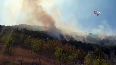 Osmaniye'deki Orman Yangını