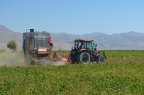 SINDELHÖYÜK - Pancar Çiftçisi Verilen Fiyatlardan Memnun